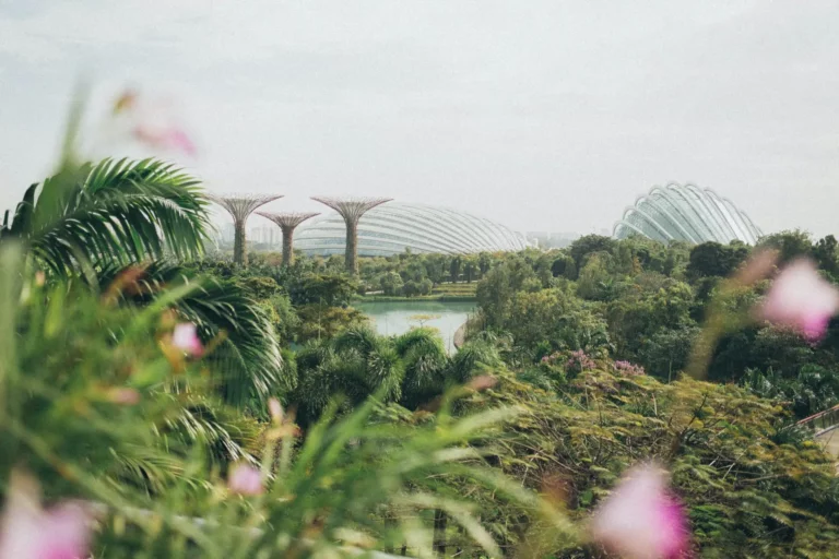 eor singapore